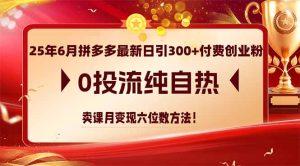 25年6月拼多多最新日引300 付钱自主创业粉，0投流纯自然 购买课程月转现六位数方式