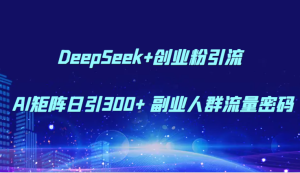 DeepSeek 自主创业粉引流方法 AI引流矩阵日引300 第二职业群体总流量登陆密码