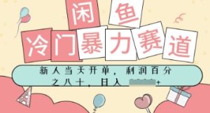 闲鱼冷门暴力赛道，新人当天开单，门槛低，日入多张