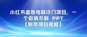 小红书虚拟电商冷门项目，一个你猜不到 PPT【附带项目教程】