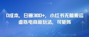 0成本，日入3张+，小红书无脑搬运，虚拟电商新玩法，可矩阵
