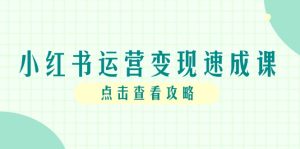 小红书运营转现速成课，账户构建到暴力行为养号，本人IP全过程手册