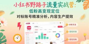 小红书野路子流量实战营：低粉高变现定位 对标账号精准分析 内容生产提效