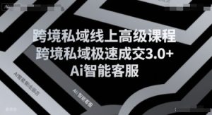 跨境私域线上高级课程，跨境私域极速成交3.0+Ai智能客服