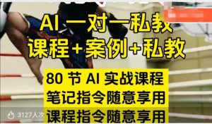 AI指令实战课，课程+案例，80节AI实战课程，笔记指令随意享用，课程指令随意享用（更新7月）