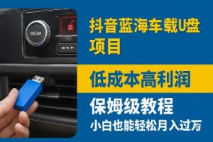 抖音蓝海车载U盘项目，低成本高利润保姆级教程，小白也能轻松月入过W