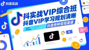抖音实战VIP综合班，抖音VIP学习规划请晰抖音各种变现渠道