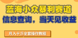 蓝海小众暴利赛道，信息查询，当天见收益，不讲玄学，7天搞了2W+