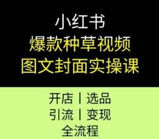 小红书爆款种草视频图文封面实操课，开店、选品、引流、变现全流程