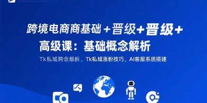 跨境电商基础+晋级+高级课：基础概念解析，Tk私域涨粉技巧，AI客服系统搭建