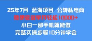 25年7月蓝海项目，公转私电商，随便做做单月轻松1w，小白一部手机就能做，完整实操步骤10分钟学会
