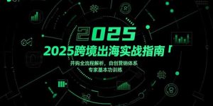 2025跨境出海实战指南，并购全流程解析，自创营销体系，专家基本功训练