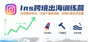 Ins跨境出海训练营，实战驱动玩法，打破不涨粉怪象，玩转社媒自然流量