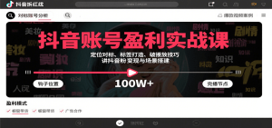 抖音账号盈利实战课，定位对标、标签打造、破播放技巧，讲涨粉变现与场景搭建