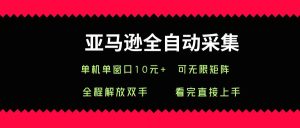 亚马逊全自动采集，单机单窗口一天10+，可无限矩阵去做