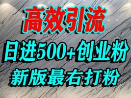最右打创业粉，百分之九十九同行都不知道的空白蓝海，单人日引500+精准流量