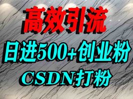 怎么打创业粉？CSDN又一个你不知道的打粉引流神秘平台，单人日引500+精准流量