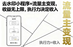 去水印小程序+流量主变现，收益无上限，执行力决定收入