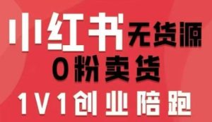 小红书无货源0粉电商课，开店准备、选品策略、笔记撰写、视频剪辑、数据分析、账号打造、资料文档