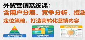 外贸营销系统课：含用户分层、竞争分析，授卖品、定位策略，打造高转化营销内容