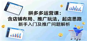 拼多多运营课：含店铺布局、推广玩法，起店思路，新手入门及推广问题解析