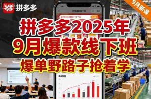 拼多多2025年9月爆款线下班，爆单野路子抢着学