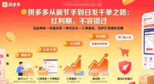 拼多多从新手到日发千单之路，拼多多红利期，不容错过【音频】