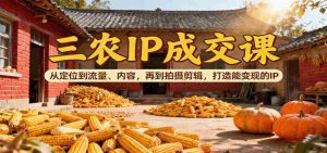 三农IP成交课：从定位到流量、内容，再到拍摄剪辑，打造能变现的IP