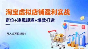 淘宝虚拟店铺盈利实战：定位+违规规避+爆款打造，月入过万很轻松！