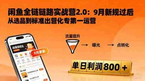 闲鱼变现课3.0：掌握链接优化、流量提升、商业变现，单日利润800+