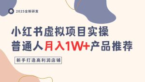 小红书虚拟项目实操指南，普通人月入1W+产品推荐，直接抄