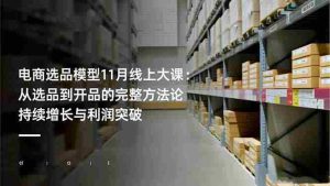 电商选品模型11月线上大课：从选品到开品的完整方法论 持续增长与利润突破