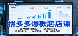 拼多多爆款起店课：微付费炸自然流，直通车引流，14天起量，双11旺季布局