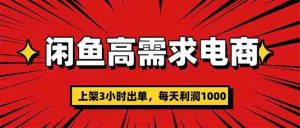闲鱼高利润电商，当天上架当天出单，一单利润300