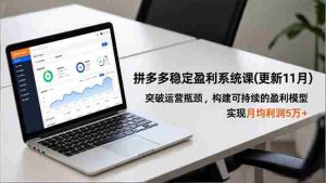 拼多多稳定盈利系统课(更新11月)，突破运营瓶颈，构建可持续的盈利模型，实现月均利润5万+