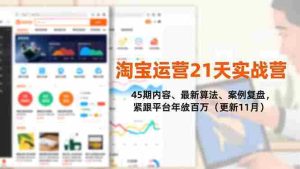 淘宝运营21天实战营，45期内容、最新算法、案例复盘，紧跟平台年入百万（更新11月）