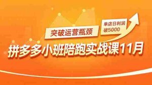 拼多多小班陪跑实战课11月，强付费矩阵、原价活动、暗券引流，突破运营瓶颈，单店日利润破5000