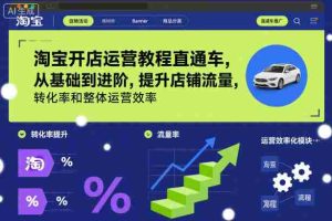 淘宝开店运营教程直通车，从基础到进阶，提升店铺流量，转化率和整体运营效率（更新11月）