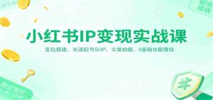 小红书IP变现实战课：定位搭建，光速起号SOP，文案拍摄，0基础也能赚钱