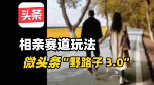 微头条“野路子3.0”相亲赛道玩法，搬砖式操作单号稳定3张