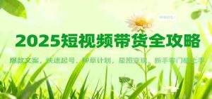 2025短视频带货全攻略：爆款文案，快速起号，种草计划，星图变现，新手零门槛上手